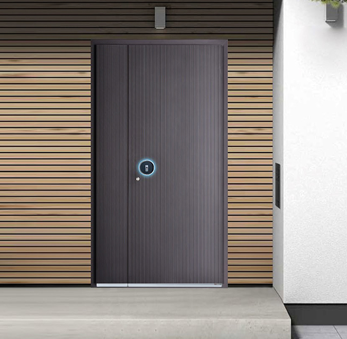 Intelligent entrance door